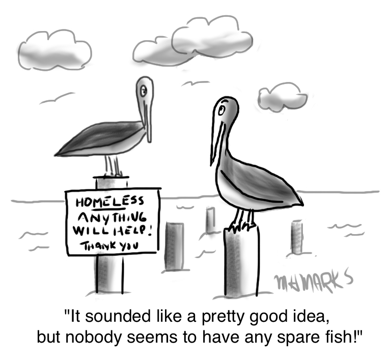 Homeless Pelicans