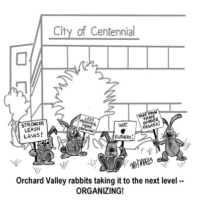 Bunny protest