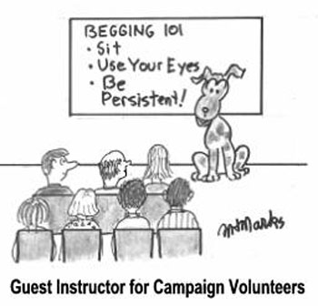 Guest instructor