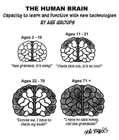 The Human Brain