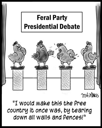 Debating chickens