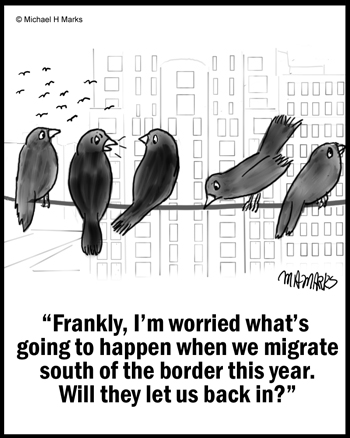 Immigrant birds