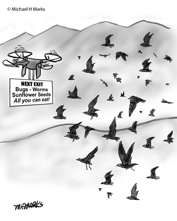 Drone for birds