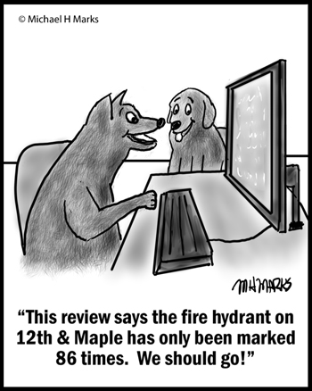 Fire hydrant reviews