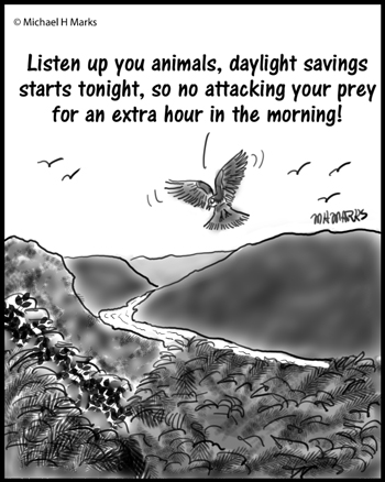 Daylight Savings Time