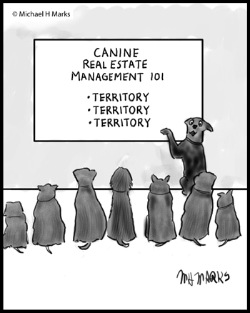 Canine territory