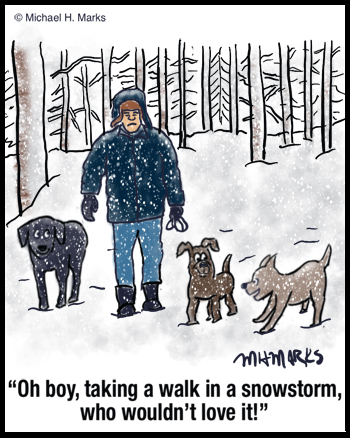 Dog walking in a snowstorm