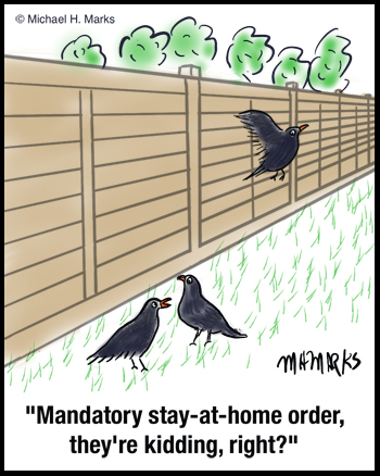 Mandatory stay at home order