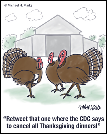 Tweeting Turkeys