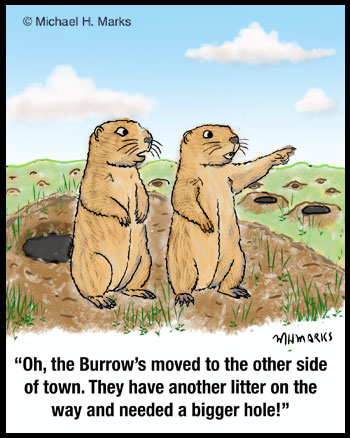 Prairie dog hole